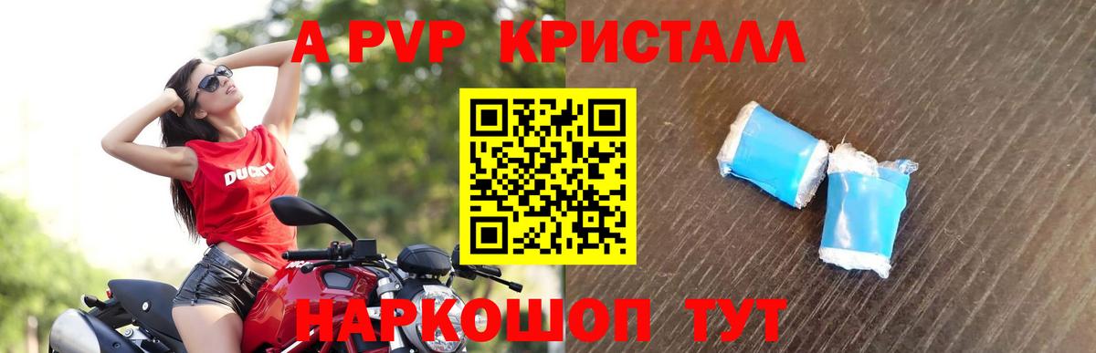 Альфа ПВП СК Елизово