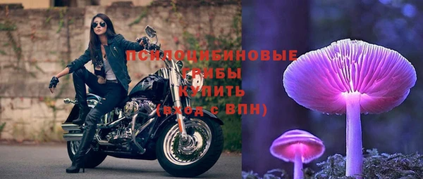 метадон Магас