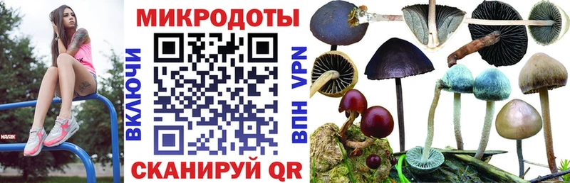 Галлюциногенные грибы MAGIC MUSHROOMS  где можно купить наркотик  Елизово 