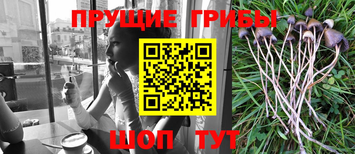 Псилоцибиновые грибы прущие грибы Елизово