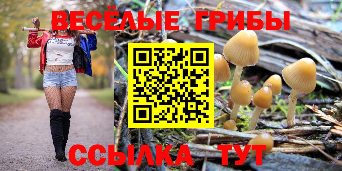 Елизово  Псилоцибиновые грибы Cubensis  Псилоцибиновые грибы ЛСД  Вход с VPN 